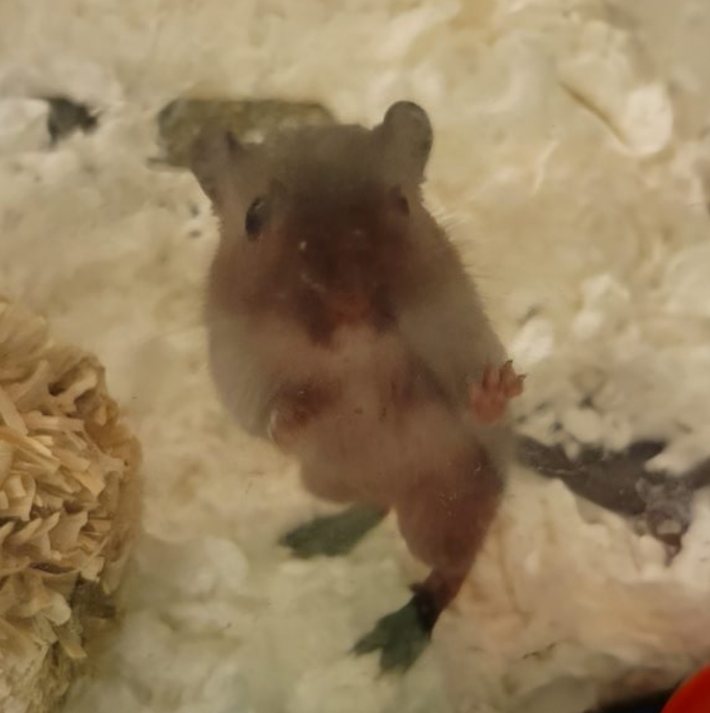 Feel free to make offers!